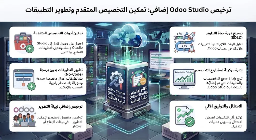 Дополнительная лицензия Odoo Studio